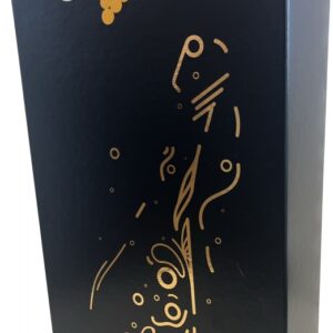 Boîte à Vin Carton 2 Bouteilles Noir/Doré