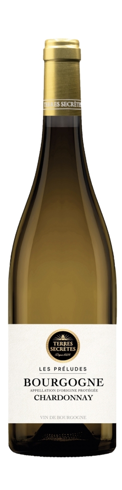 Chardonnay Bourgogne Terres Secretes 2022