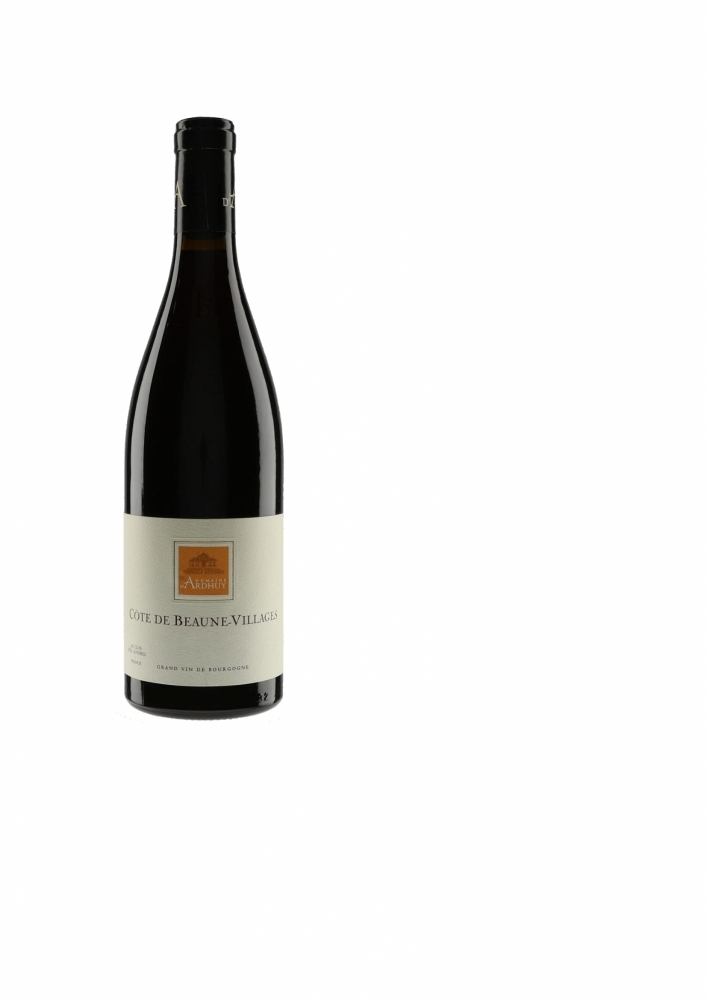 Vignoble de Bourgogne Côte de Beaune