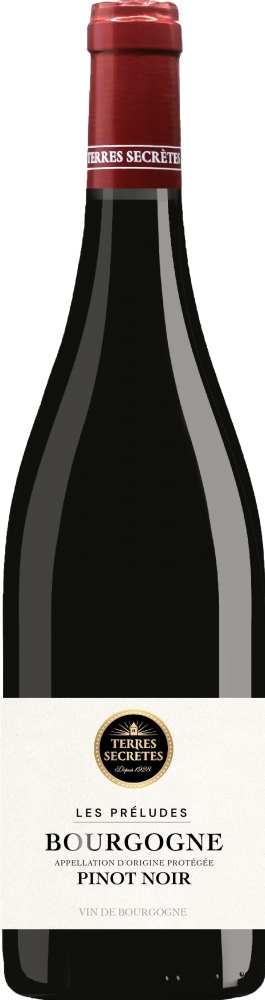 Pinot Noir Bourgogne Terres Secretes 2022