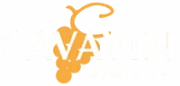 Logo Cavavin Carouge Cavavin Carouge