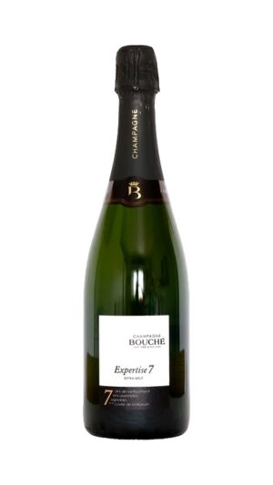 Champagne Bouche Expertise 7