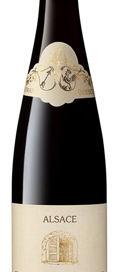 Pinot Noir Boesch Les Jardins 2022