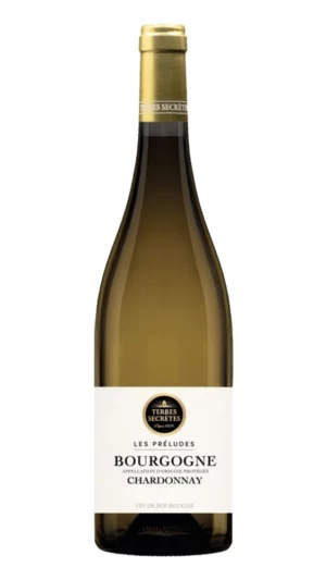 Bourgogne Chardonnay Vignerons des Terres Secrètes 2022 – bouteille 75 cl